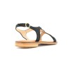 HASTRAL 36 41