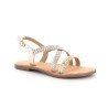 DIAMS 36 41