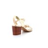 LANIA 36 41
