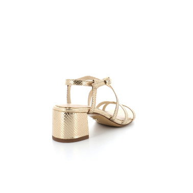 TABES 28204 E24 35 42