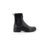 CLAIS 36 41