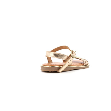 BAMBI 28 34