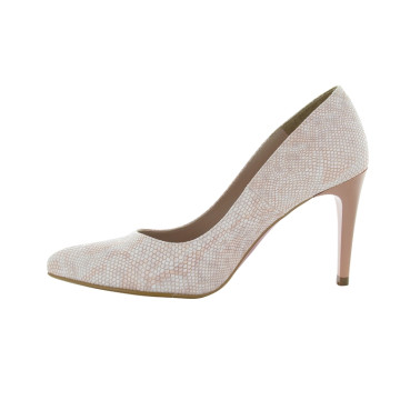 REGINE 35 41