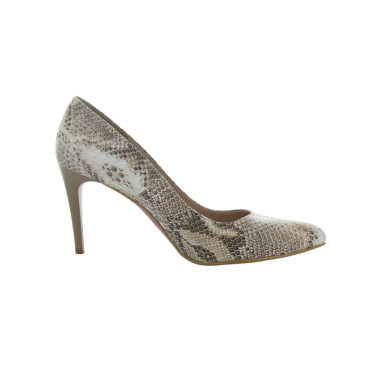 REGINE 35 41