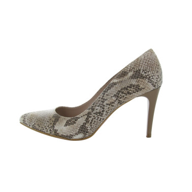 REGINE 35 41