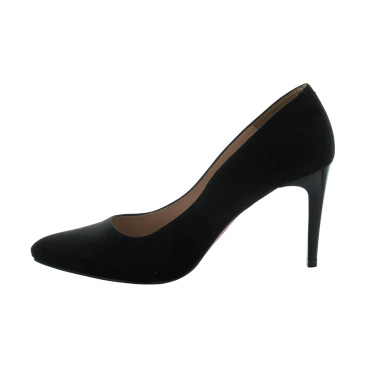 REGINE 35 41