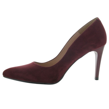 REGINE 35 41