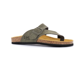 Kaki