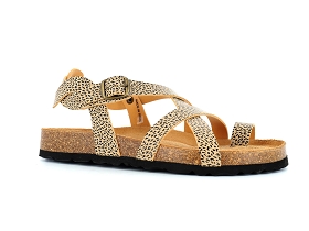 METAMORF OSE NACCORE<br>Leopard