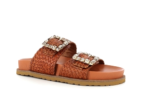 ELUE PAR NOUS NECOSSER<br>Camel