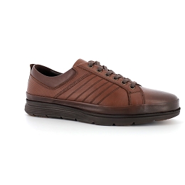 DR JELLS GD-8896-F305<br>Marron Foncé