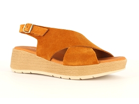 M BRAND HELIER<br>Camel