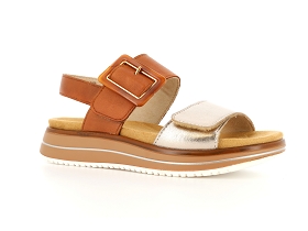 REMONTE D1J53<br>Miel or