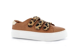 METAMORF OSE KALIM<br>Camel