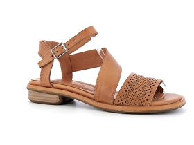 METAMORF OSE NACAM<br>Camel