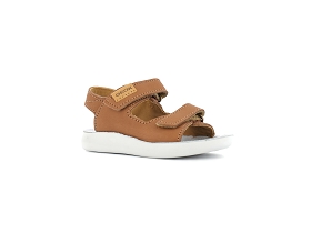 Marron Moyen