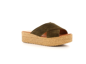 Kaki