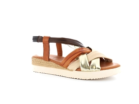 XAPI 1004<br>Multi-Marron