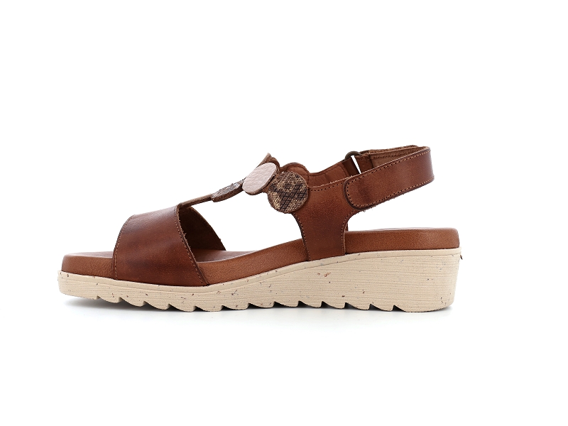 BUPASTO - 16764479502_3