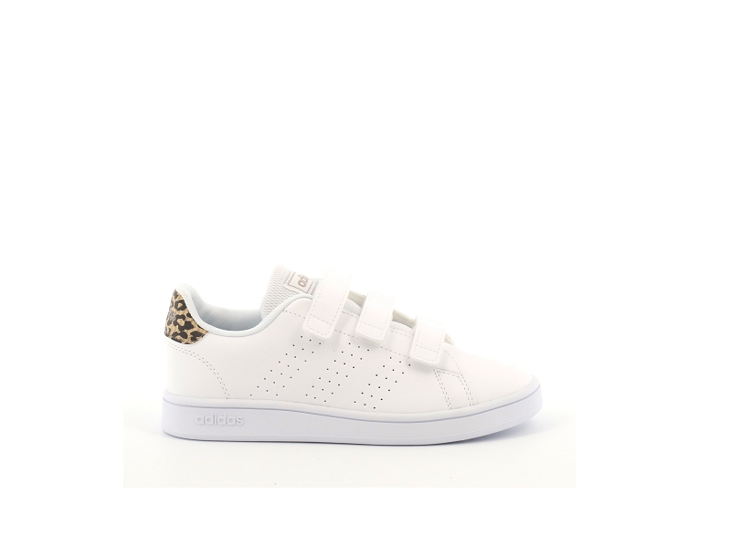 adidas advantage marron